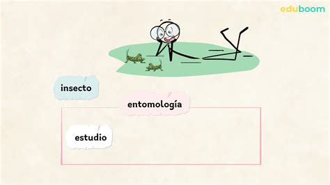 Significante y significado: semas, campo semántico y campo asociativo ...