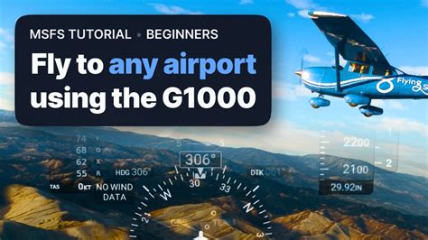 FSX G1000 Tutorial 的图像结果