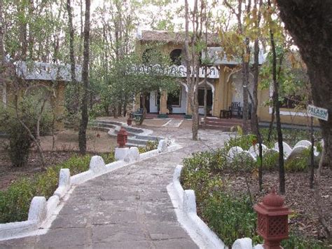 Kanha National Park Pictures - Traveller Photos of Kanha National Park ...