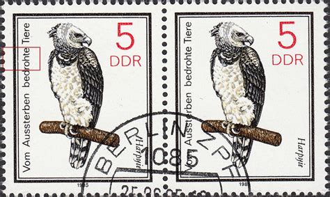 Image result for DDR Extreme Memory Card