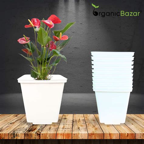 Square Nursery Pots for Seedlings for Gardening - Organic Bazar