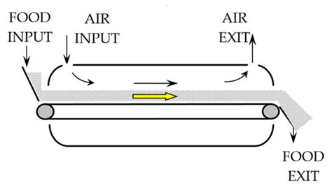 Conveyor-Belt Dryers with Tangential Flow for Food Drying: Development ...