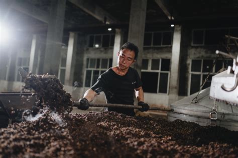 茅台酿新酒——茅台酒传统酿造工艺影像探秘之三_凤凰网