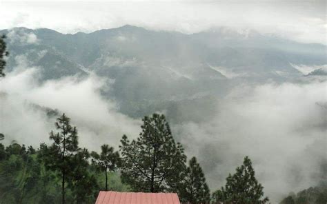 JAI HARI JUNGLE RESORT (Jaiharikhal) - Hotel Reviews, Photos, Rate ...