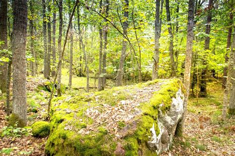 What to See and Do in Småland - What is Småland Most Famous For? - Go ...