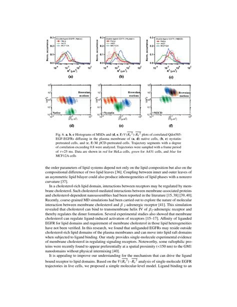 Optics Express Algorithm Template 的图像结果