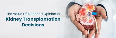 The Importance of Kidney Transplantation Second Opinion
