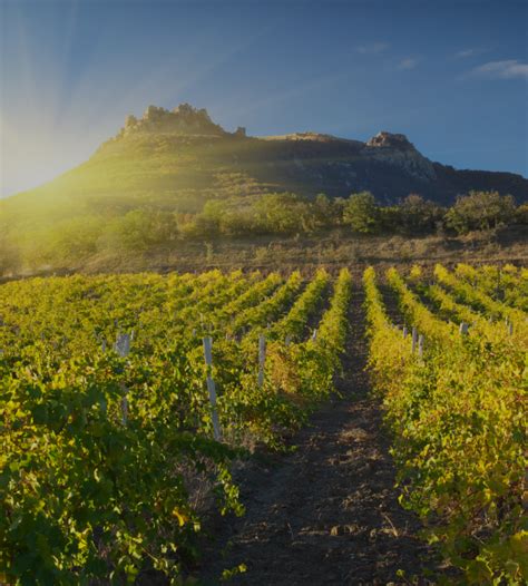 Hospital Procurement & Supply Chain Summit