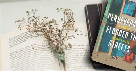 Book Review: Perseverance Flooded the Streets by Abbey Seitz