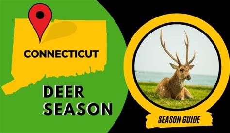 Michigan Deer Season 2025: Schedule Updates for Dates, Licenses & Rules ...