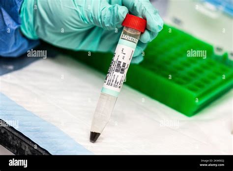 DNA Library Prep Protocol 的图像结果