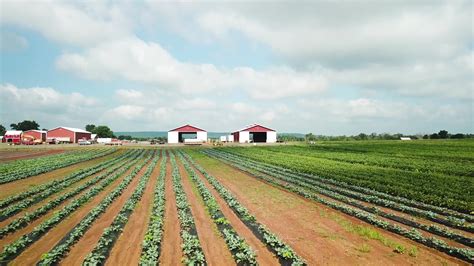 Hillsborough, NJ - Abma's Farm - Somerset County - Abma's Farm