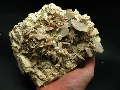 Zephiran Chloride Uses PPT - Chapter 22 – Mycobacterium tuberculosis & Other ...
