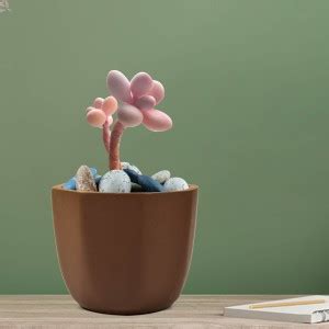 Lasaki Yuri Ceramic Pots for succulents Plants Home Indoor Living Room ...