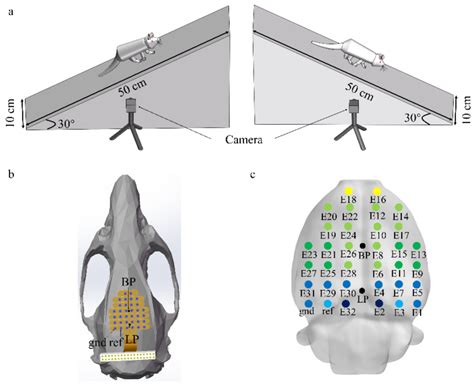 Treadmill Error Code E2 的图像结果