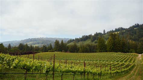 Savoring a California Wine Country Far From Napa and the Crowds - The ...