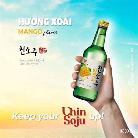 Various Fruit Flavour 360ml Brand Chin Soju Shochu With High Quality ...