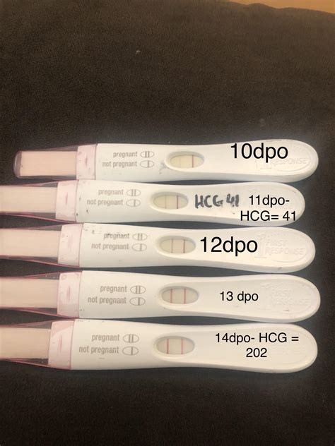 FRER tests from 10dpo to 14 DPO with a couple of beta HCG numbers : r ...