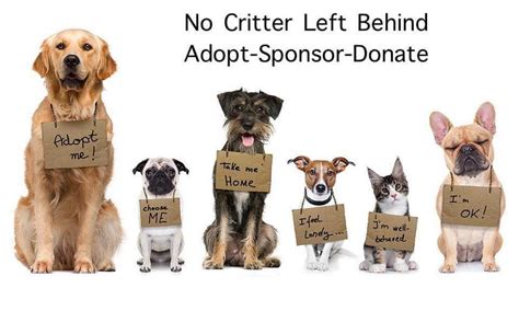 Adoption event , Tractor Supply Co. (608 West 15th St, Washington, NC ...