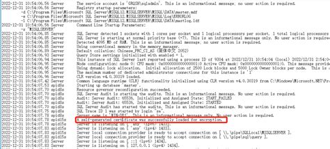 SQL Encrypt Strict 的图像结果