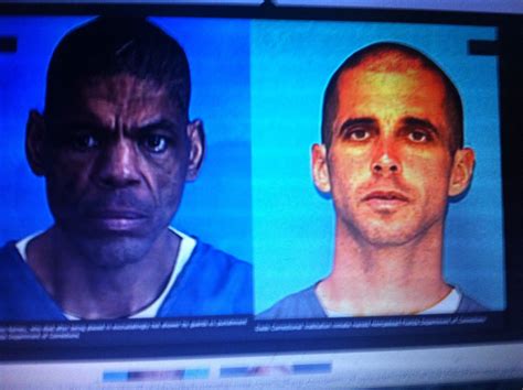 THE BLACK SOCIAL HISTORY:: BLACK SOCIAL HISTORY - AFRICAN AMERICAN ...