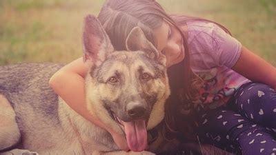 5 benefits of having pets for your child's development | Hindustan Times
