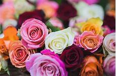 il significato segreto dei fiori il linguaggio segreto dei fiori ecco cosa significano il significato segreto dei fiori il linguaggio segreto dei fiori ecco cosa significano