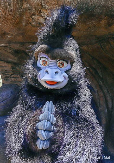 Tarzan Disney Characters Terk Terk | Finding Howl's Silver Lining In