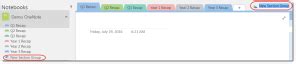 Image result for OneNote Section Grouping
