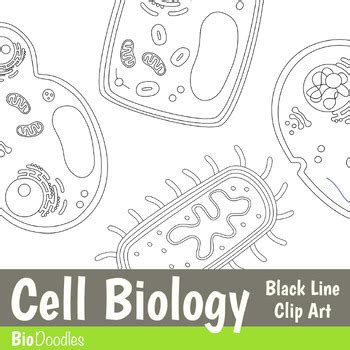 Biology Clip Art 的图像结果