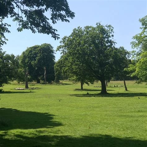 Highbury Park (Birmingham) - All You Need to Know BEFORE You Go