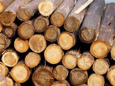 木材人必学之木材如何进口_行业资讯_木头云