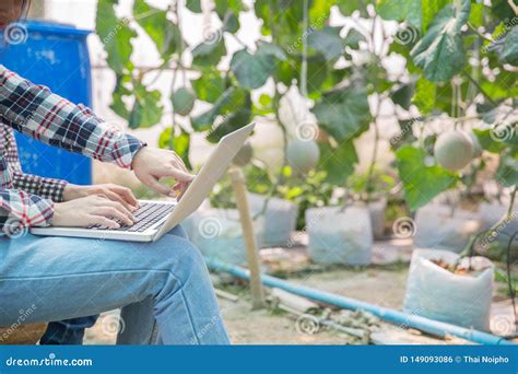 Woman Science Assistant ,Agricultural Officer. Stock Photo - Image of farming, male: 149093086