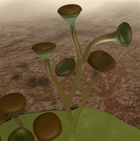 Evolutionary History of Life | Encyclopedia MDPI