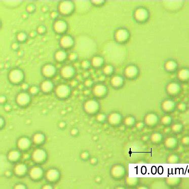 Image result for Cache Microscopic