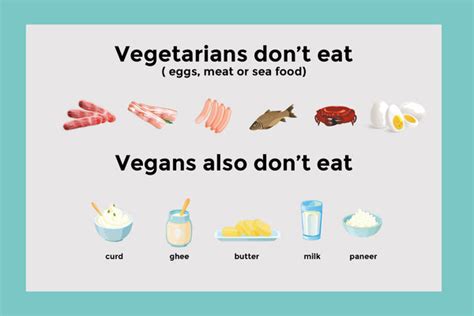 Veganism Explained (India)! — Nourish You