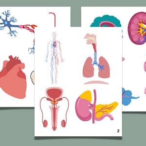 Biology Learning 的图像结果