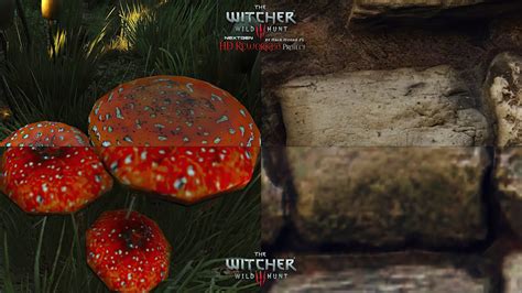 Witcher 3 Texture Mod 的图像结果
