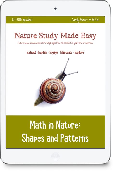 Image result for Math Nature