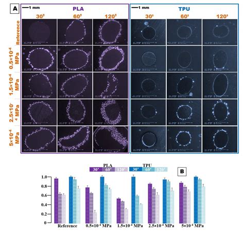 Novel Synthesis of Core-Shell Biomaterials from Polymeric Filaments ...