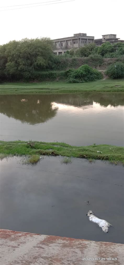 Delhi Drinking Water Canal gets toxic mix – SANDRP