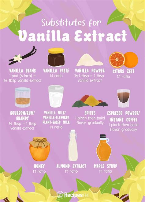 11 Substitutes for Vanilla Extract You Can Use - Recipes.net