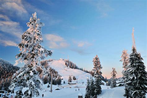 Grouse Mountain in Vancouver | TimesTravel