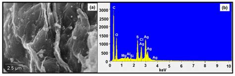 In Situ Stabilisation of Silver Nanoparticles at Chitosan ...