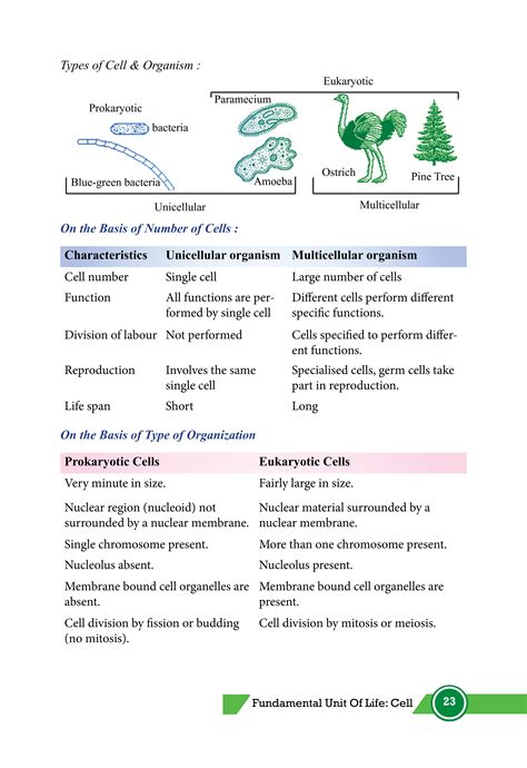 Image result for Class 9th Science Chapter 5 Cell Explanation