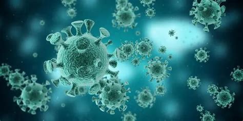 新冠病毒感染疾病的流行特征有哪些？_腾讯新闻