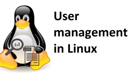 Image result for Linux User Management