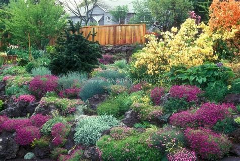 Image result for Springtime Garden