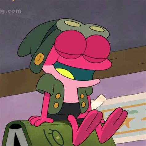 Image result for Spider Frog Amphibia