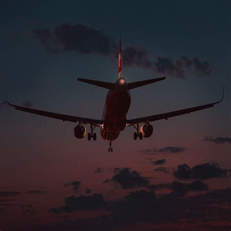 Becoming other: environment, belonging and identity | Meer